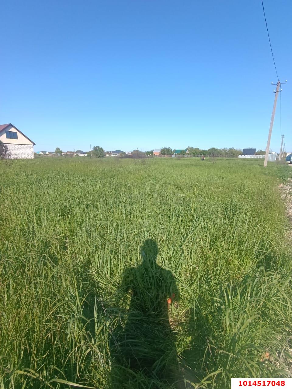 Фото №3: Земельный участок 8.38 сот. - садовое некоммерческое товарищество Авиатор, мкр. Прикубанский внутригородской округ, ул. Липовая, 214