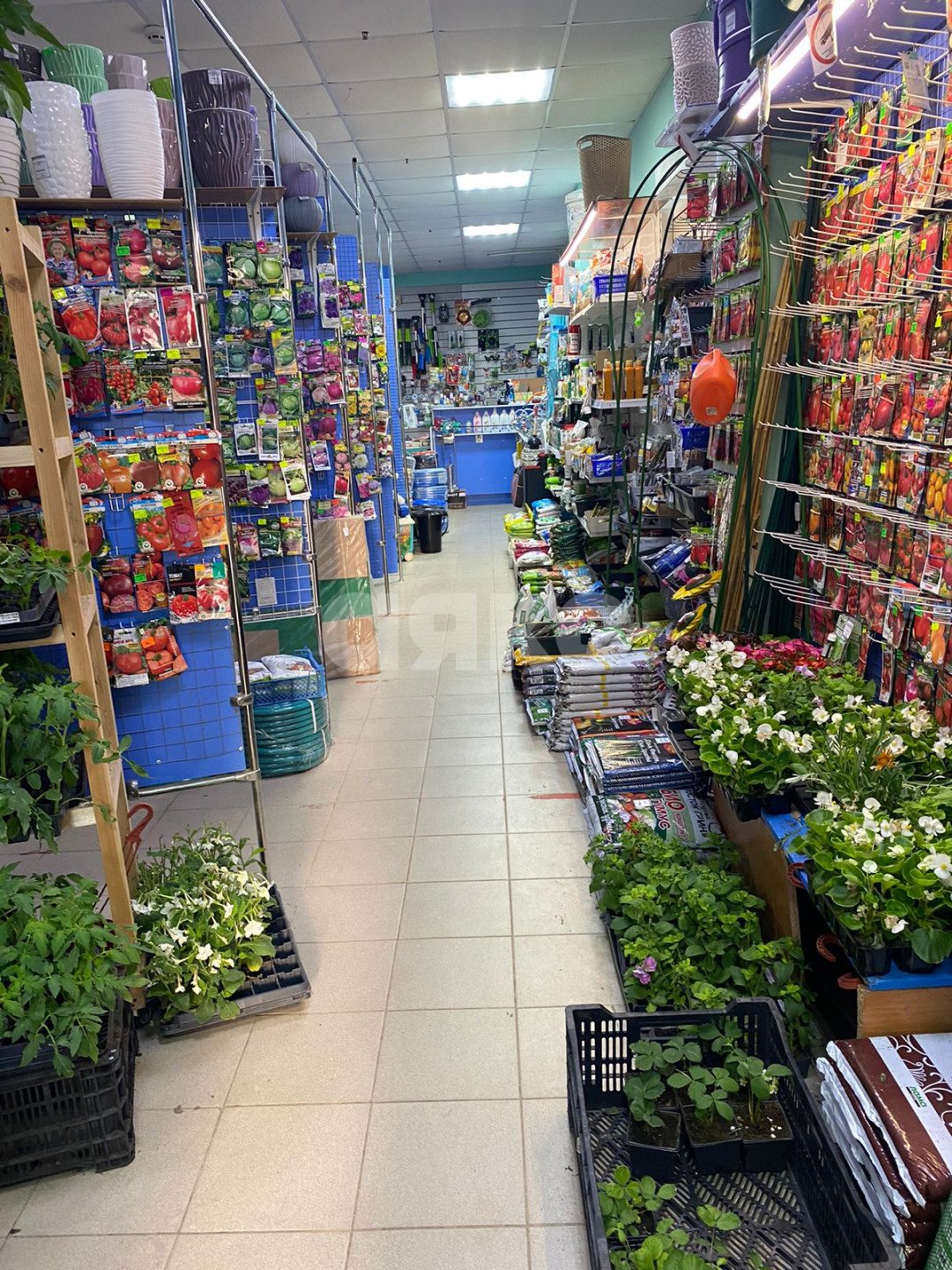 Фото №7: Коммерция 150 м² - Тула, 2-й Северо-Восточный, ул. Вильямса, 32