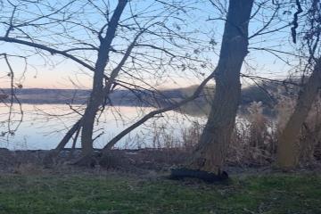 Фото №4: Земельный участок 50 сот. - Саратовский, ул. Возрожденская, 23