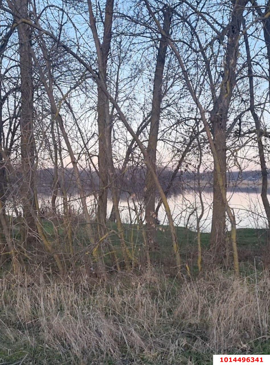 Фото №6: Земельный участок под ИЖС 50 сот. - Саратовский, ул. Возрожденская, 23