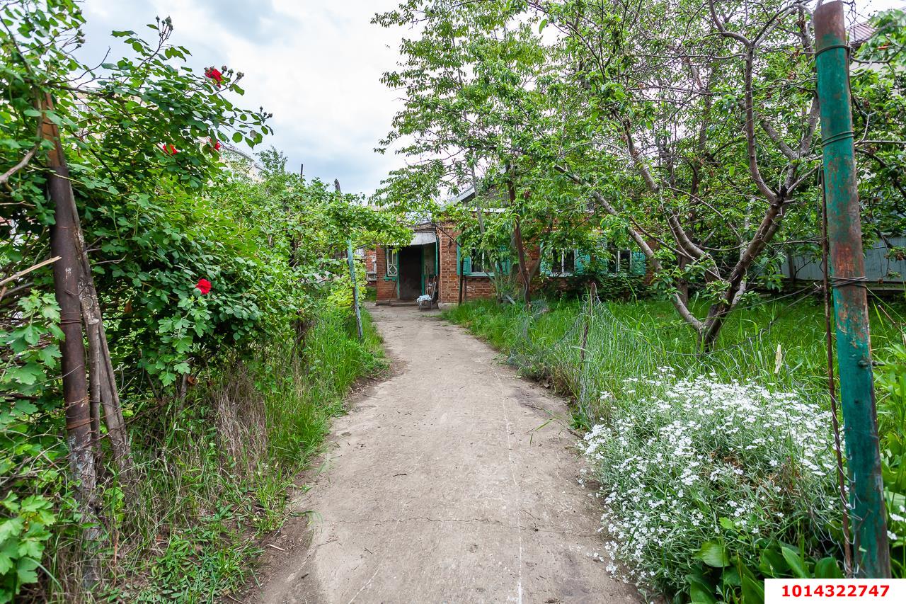 Фото №16: Земельный участок под ИЖС 7 сот. - Краснодар, Пашковский, ул. Криничная, 135