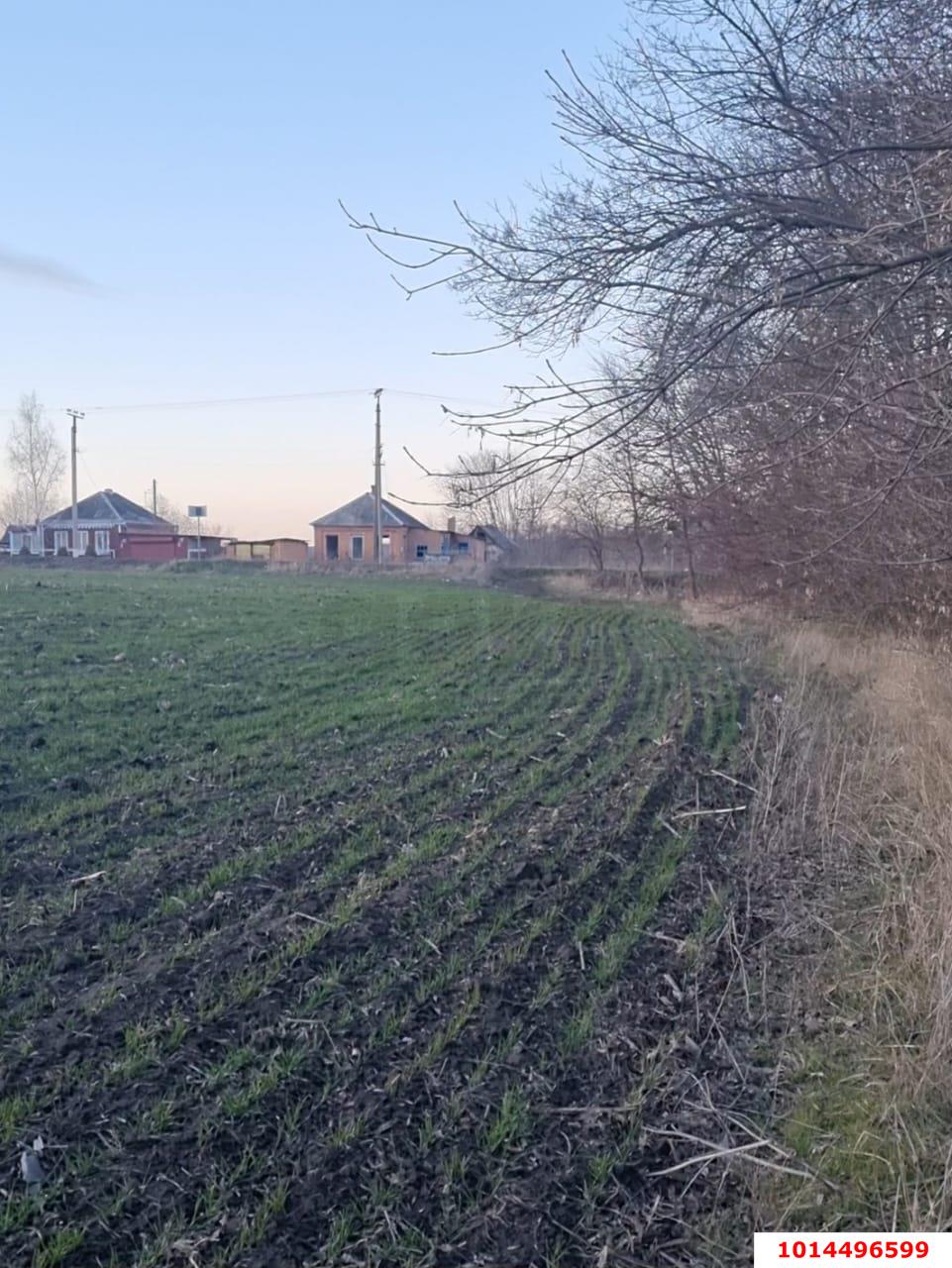 Фото №7: Земельный участок под ИЖС 4 сот. - Саратовский, ул. Возрожденская, 37