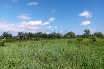 Фото №4: Земельный участок под ИЖС 40 сот. - Бончковский, ул. Центральная, 2