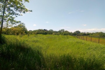 Фото №3: Земельный участок под ИЖС 40 сот. - Бончковский, ул. Центральная, 2