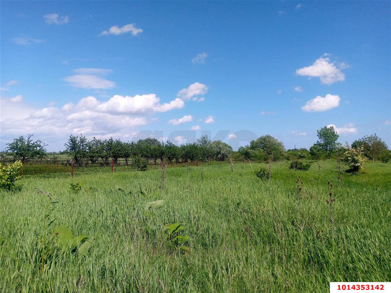 Фото №4: Земельный участок 40 сот. - Бончковский, ул. Центральная, 2