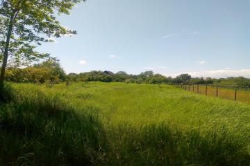 Фото №3: Земельный участок 40 сот. - Бончковский, ул. Центральная, 2