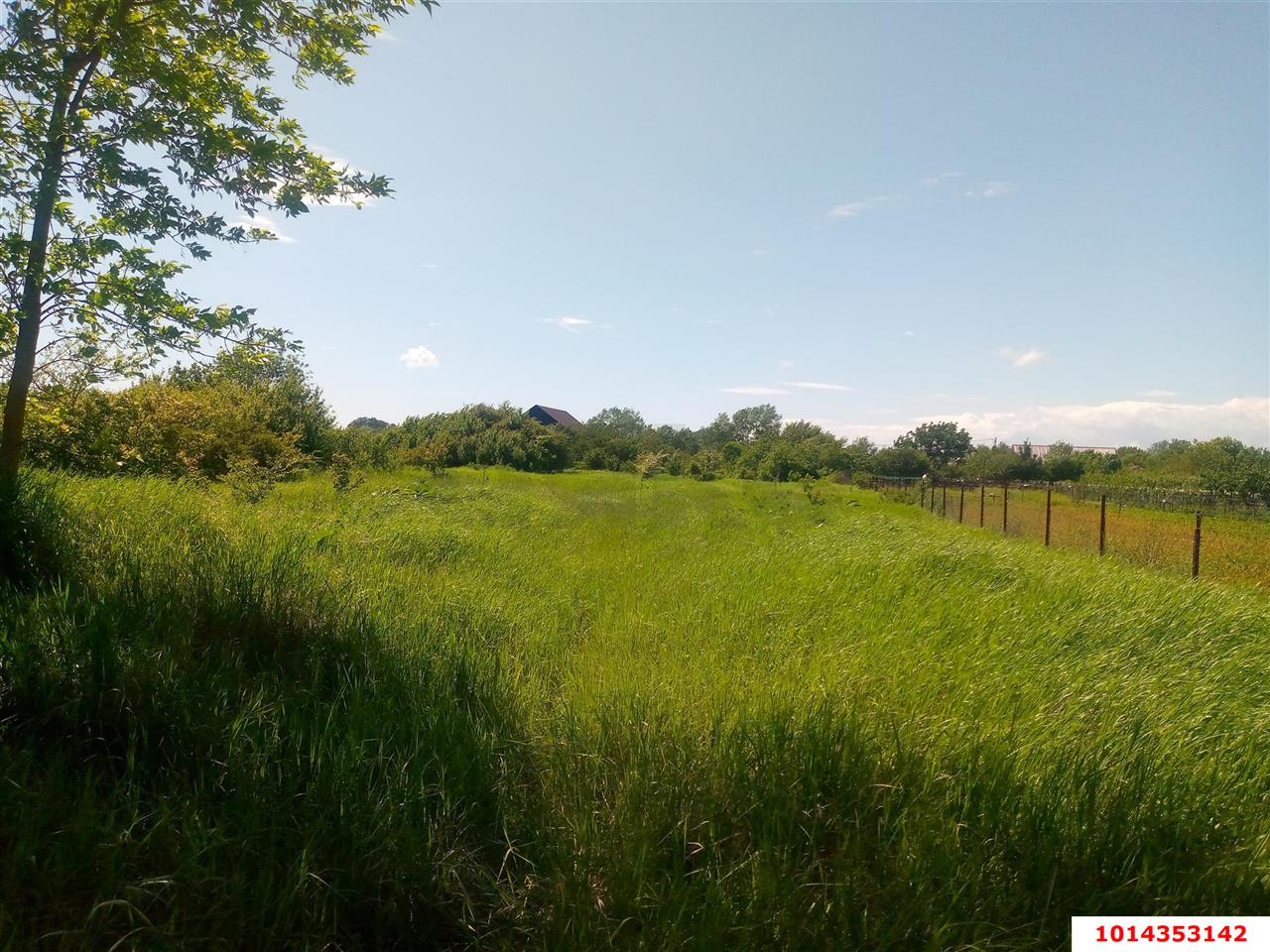 Фото №3: Земельный участок 40 сот. - Бончковский, ул. Центральная, 2