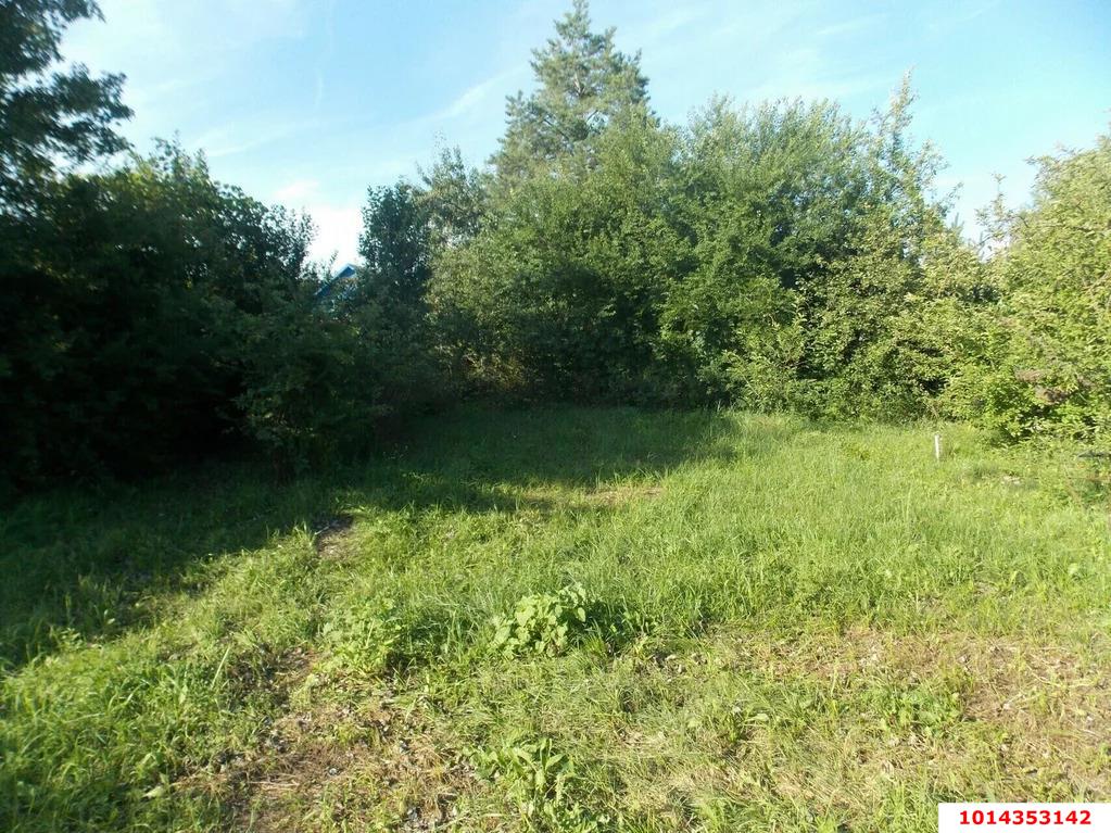 Фото №1: Земельный участок 40 сот. - Бончковский, ул. Центральная, 2