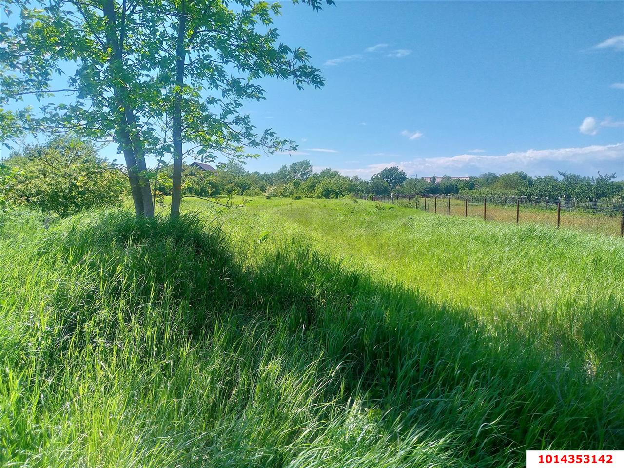 Фото №7: Земельный участок 40 сот. - Бончковский, ул. Центральная, 2