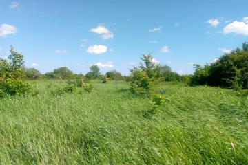 Фото №5: Земельный участок 40 сот. - Бончковский, ул. Центральная, 2