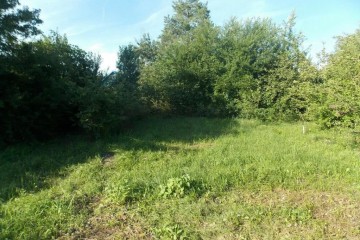 Фото №1: Земельный участок под ИЖС 40 сот. - Бончковский, ул. Центральная, 2