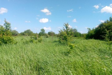 Фото №5: Земельный участок под ИЖС 40 сот. - Бончковский, ул. Центральная, 2