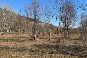 Фото №2: Земельный участок 40.67 сот. - Краснодарский край Северский район