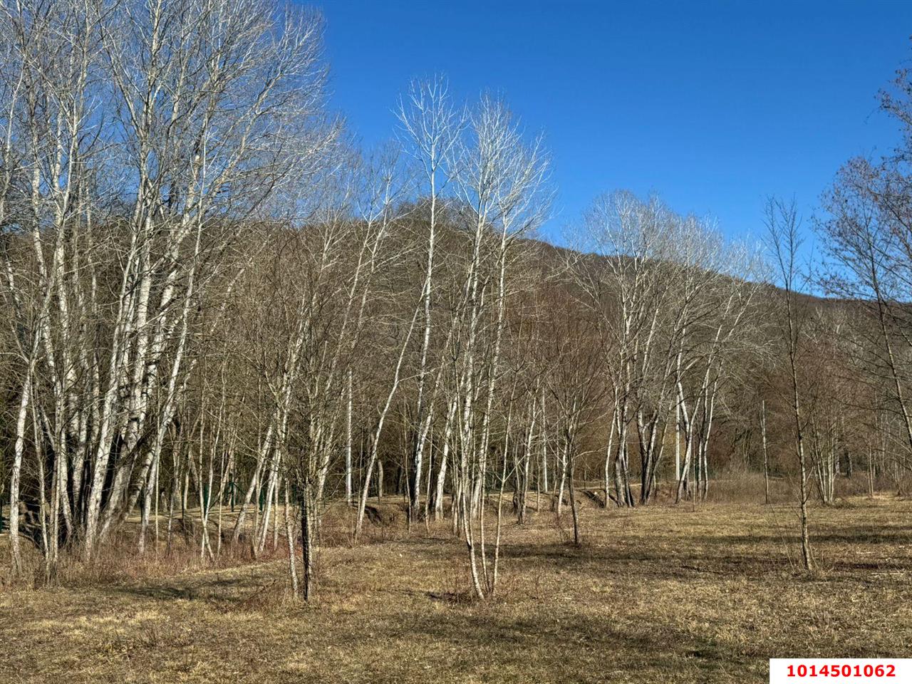 Фото №3: Земельный участок 40.67 сот. - Краснодарский край Северский район