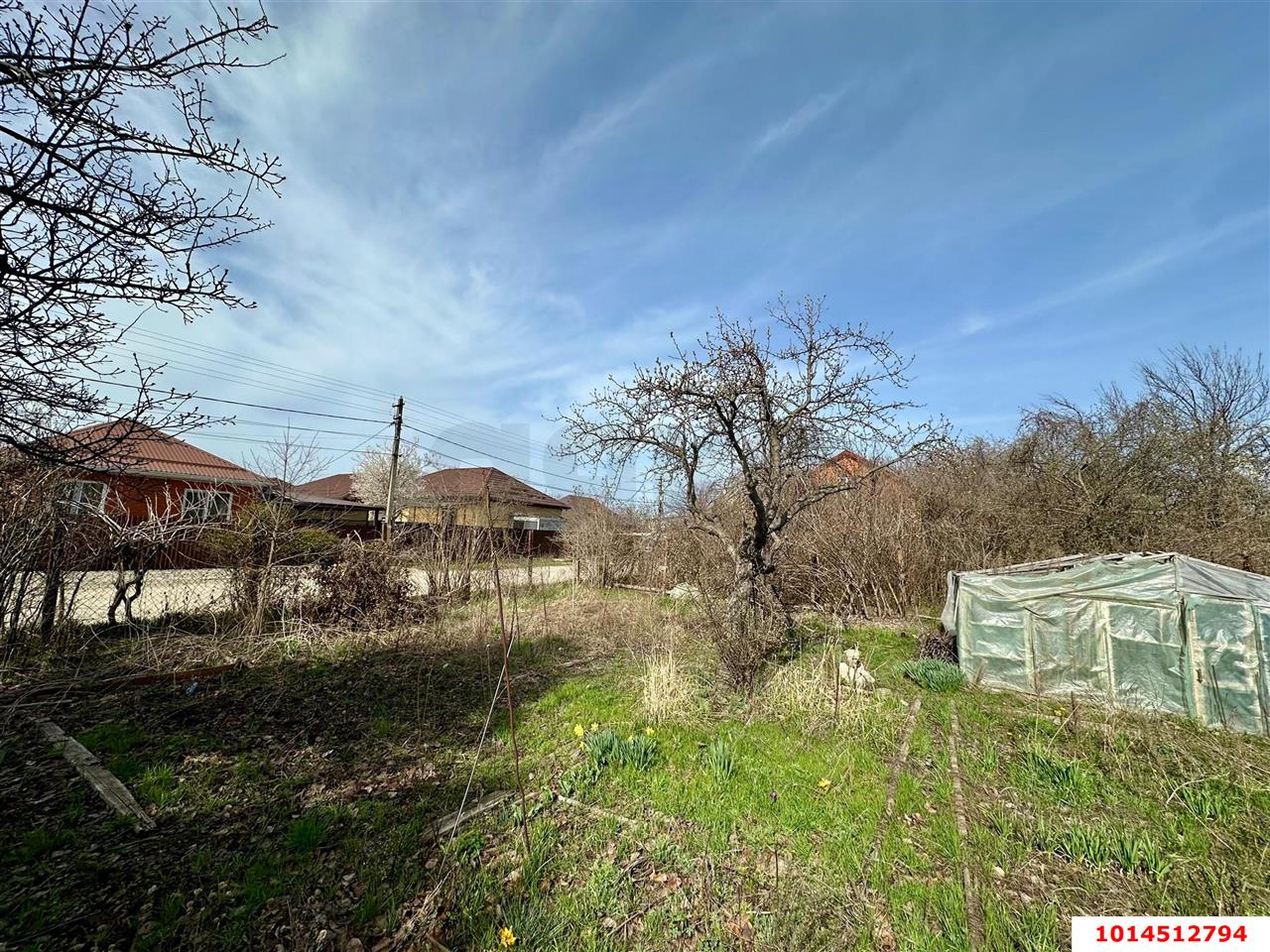 Фото №2: Личное подсобное хозяйство - Елизаветинская, Прикубанский внутригородской округ, ст Кавказ, ул. Абрикосовая, 14