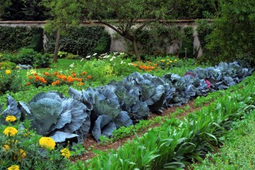Фото №1: Участок садоводство 8 сот. - Копанской, мкр. Прикубанский внутригородской округ, 