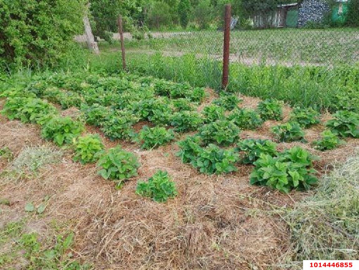 Фото №6: Участок садоводство 8 сот. - Копанской, Прикубанский внутригородской округ