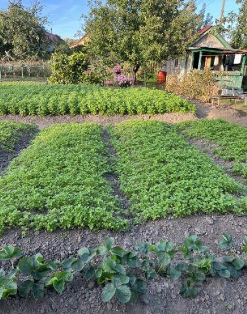 Фото №7: Земельный участок 8 сот. - Краснодар, мкр. Прикубанский внутригородской округ