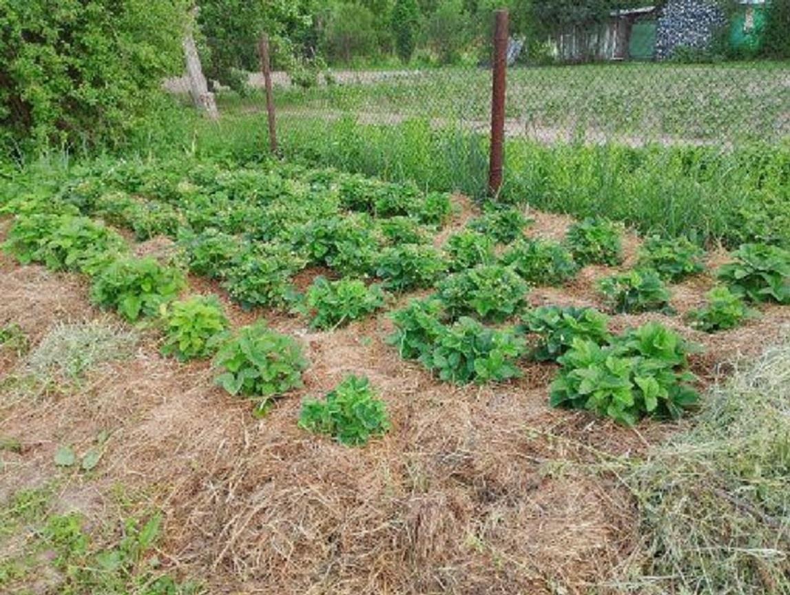 Фото №6: Земельный участок 8 сот. - Краснодар, мкр. Прикубанский внутригородской округ