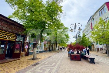 Фото №1: Коммерция 117 м² - Симферополь, мкр. 850-й квартал, ул. Пушкина, 6
