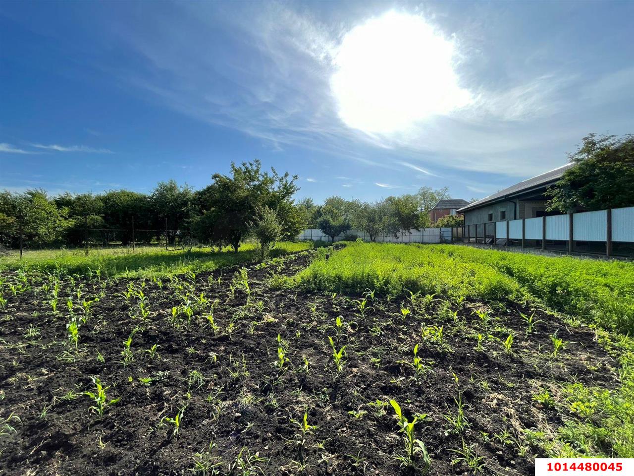 Фото №6: Земельный участок под ИЖС 10 сот. - Берёзовый, Прикубанский внутригородской округ, ул. Дружбы, 10