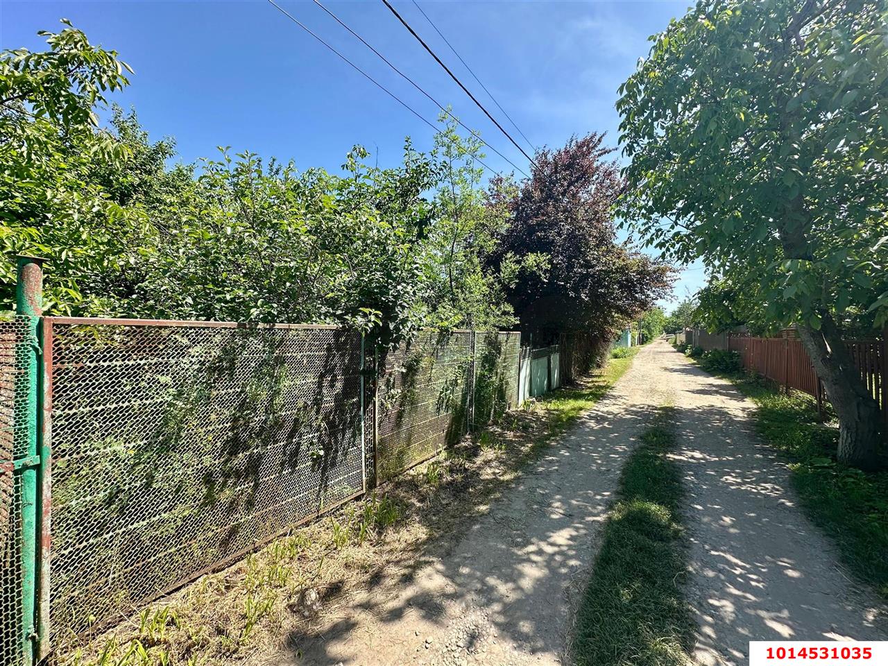 Фото №6: Личное подсобное хозяйство - Сад Кубани, мкр. Прикубанский внутригородской округ, ул. Парковая, 65