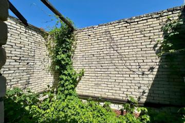 Фото №5: Личное подсобное хозяйство - Сад Кубани, мкр. Прикубанский внутригородской округ, ул. Парковая, 65