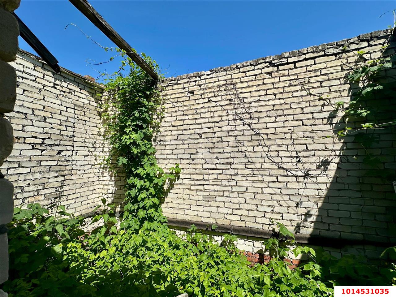 Фото №5: Личное подсобное хозяйство - Сад Кубани, мкр. Прикубанский внутригородской округ, ул. Парковая, 65