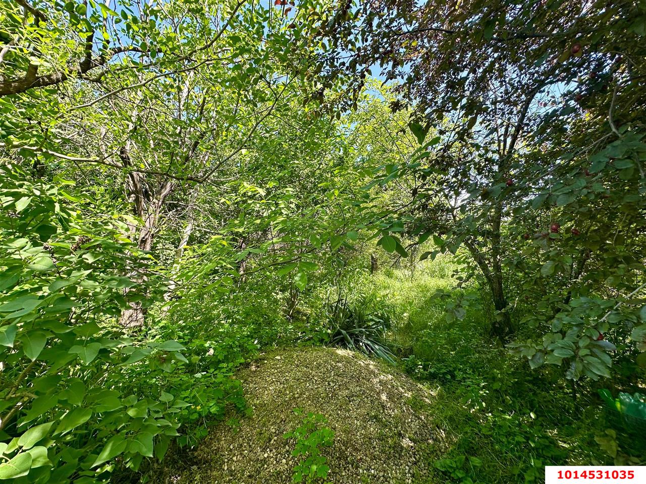 Фото №11: Личное подсобное хозяйство - Сад Кубани, мкр. Прикубанский внутригородской округ, ул. Парковая, 65