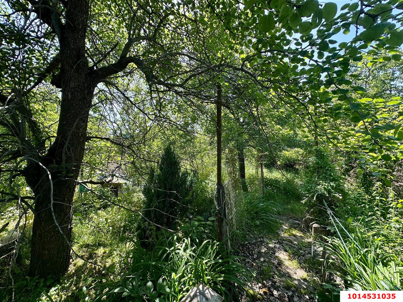 Фото №6: Участок садоводство 6 сот. - Сад Кубани, Прикубанский внутригородской округ, ул. Парковая, 65