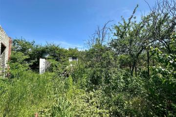 Фото №1: Личное подсобное хозяйство - Сад Кубани, мкр. Прикубанский внутригородской округ, ул. Парковая, 65