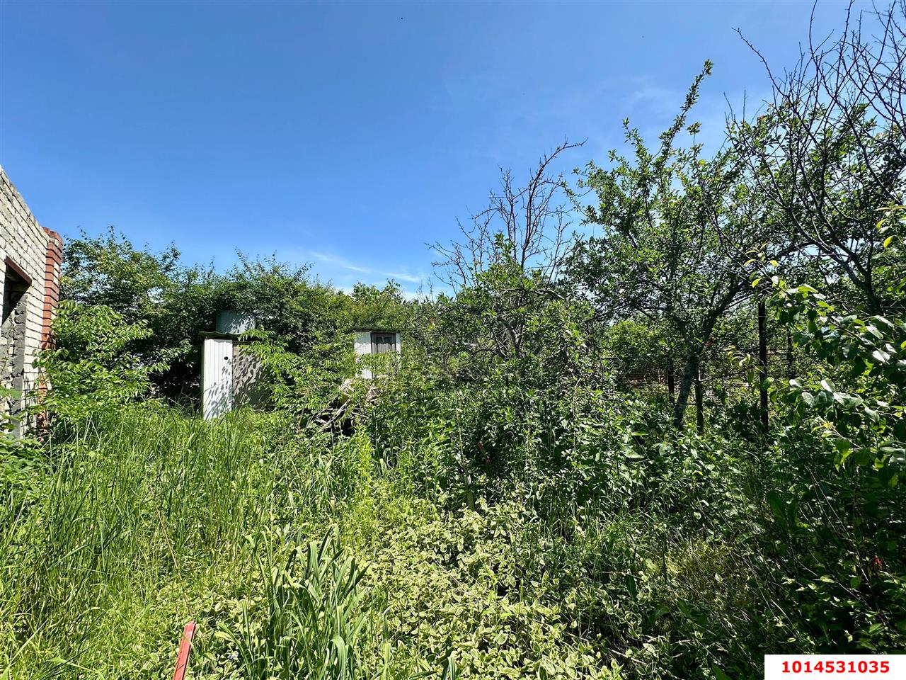 Фото №1: Личное подсобное хозяйство - Сад Кубани, мкр. Прикубанский внутригородской округ, ул. Парковая, 65