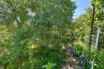 Фото №3: Личное подсобное хозяйство - Сад Кубани, мкр. Прикубанский внутригородской округ, ул. Парковая, 65