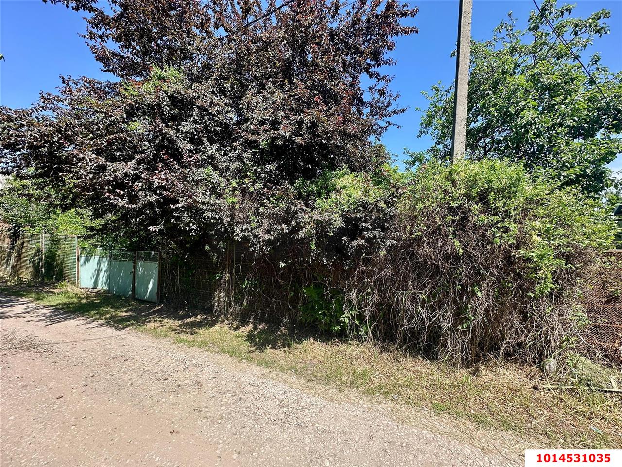 Фото №7: Личное подсобное хозяйство - Сад Кубани, мкр. Прикубанский внутригородской округ, ул. Парковая, 65