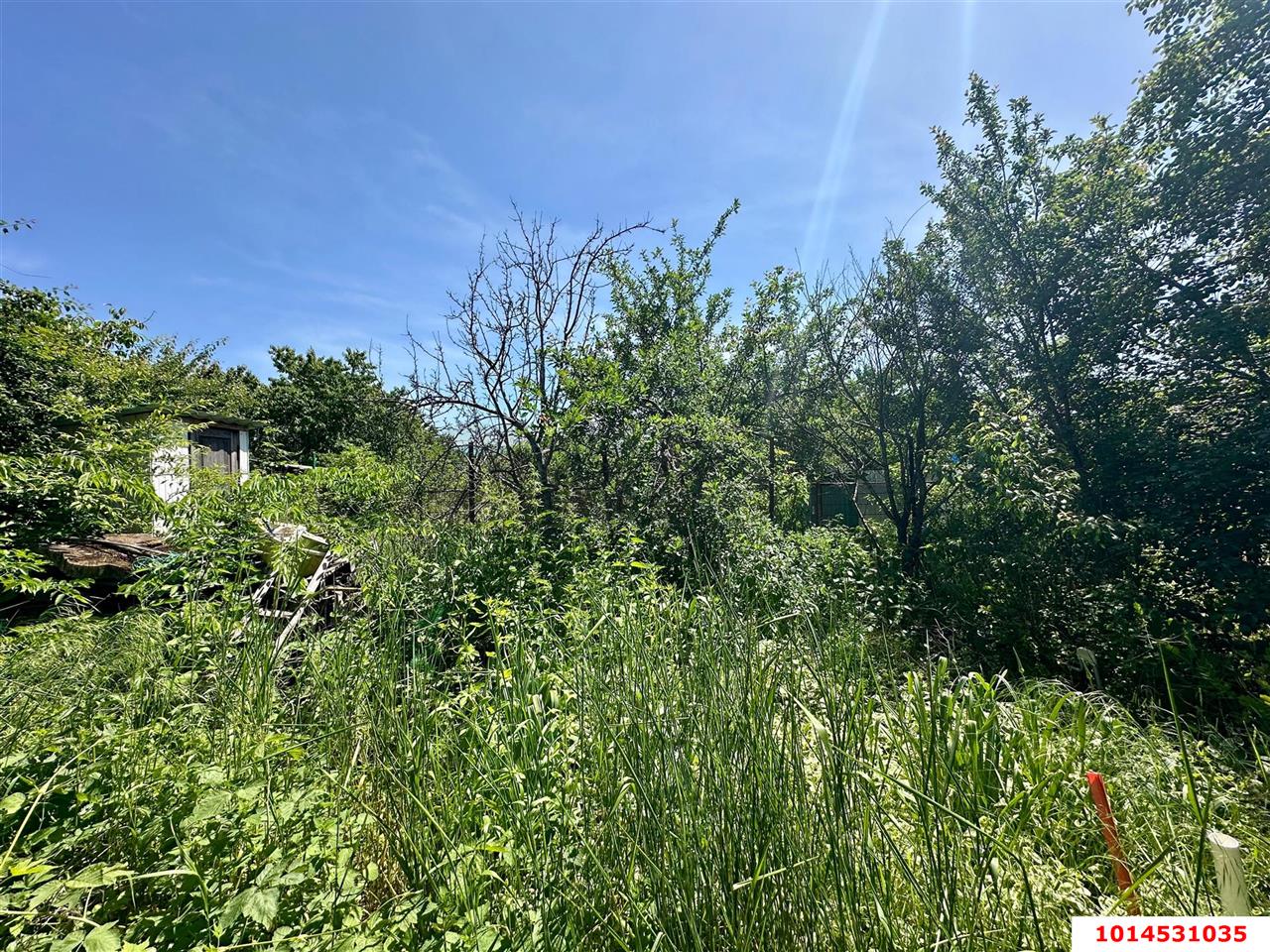 Фото №9: Личное подсобное хозяйство - Сад Кубани, мкр. Прикубанский внутригородской округ, ул. Парковая, 65