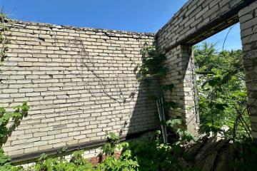 Фото №4: Личное подсобное хозяйство - Сад Кубани, мкр. Прикубанский внутригородской округ, ул. Парковая, 65