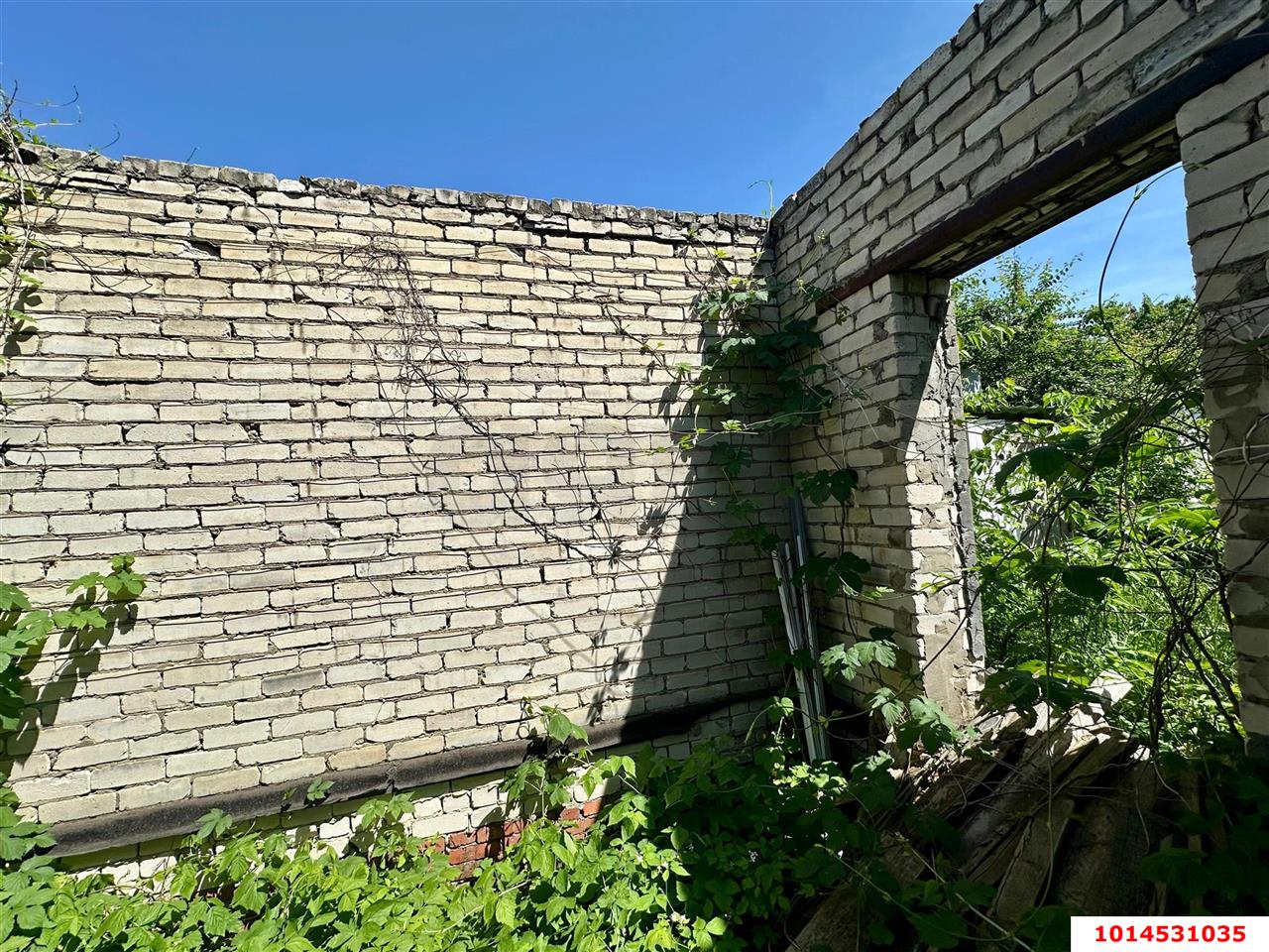 Фото №4: Личное подсобное хозяйство - Сад Кубани, мкр. Прикубанский внутригородской округ, ул. Парковая, 65