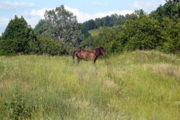 Фото №3: Земельный участок 4.02 сот. - Октябрьский, ст Краснодарсельмаш, ул. Советская, 14