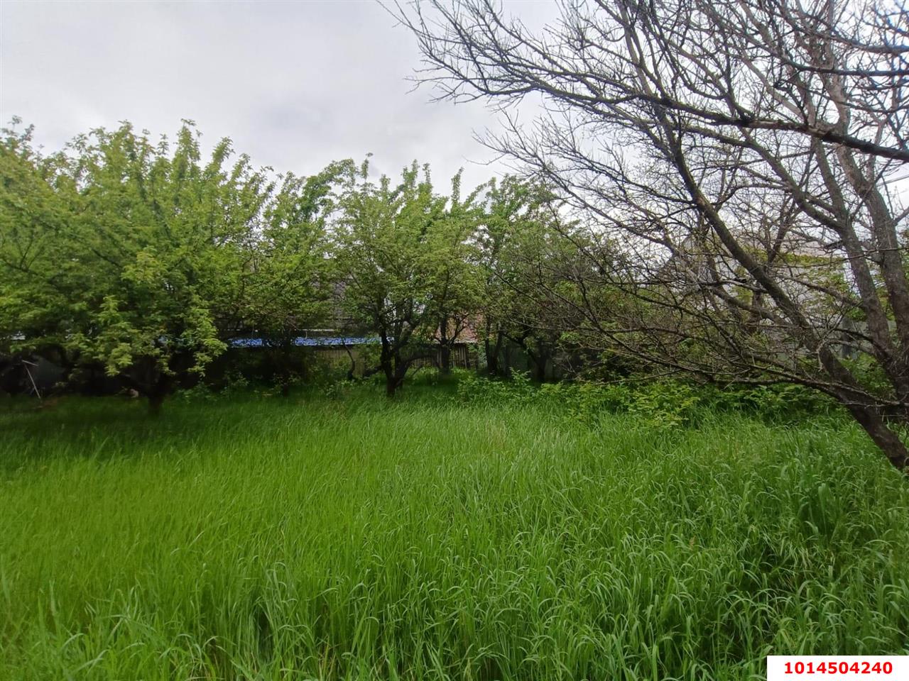 Фото №1: Личное подсобное хозяйство - Ветеран, мкр. Прикубанский внутригородской округ, ул. Зелёная, 464