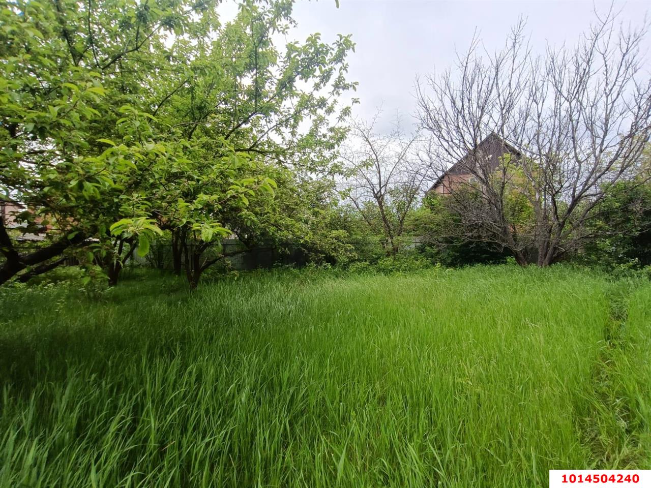 Фото №2: Участок садоводство 6 сот. - Ветеран, Прикубанский внутригородской округ, ул. Зелёная, 464