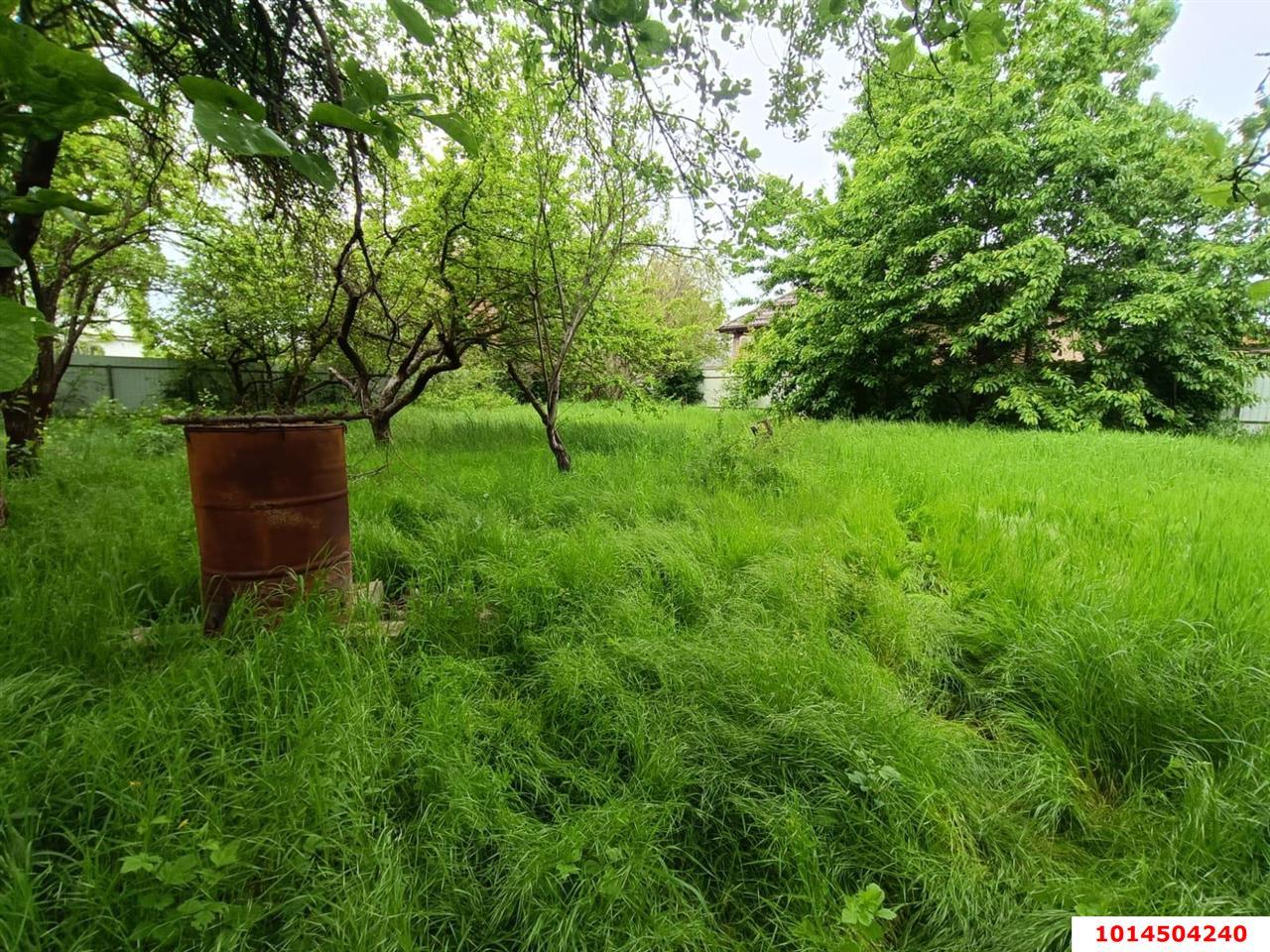 Фото №3: Личное подсобное хозяйство - Ветеран, мкр. Прикубанский внутригородской округ, ул. Зелёная, 464