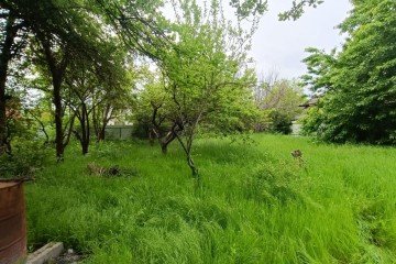 Фото №4: Участок садоводство 6 сот. - Ветеран, мкр. Прикубанский внутригородской округ, ул. Зелёная, 464