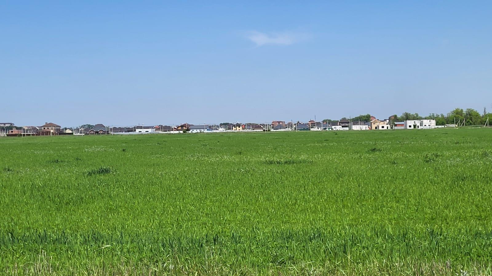 Фото №4: Земельный участок 8 сот. - Краснодар, мкр. Прикубанский внутригородской округ, пр-д 4-й Лоцманский