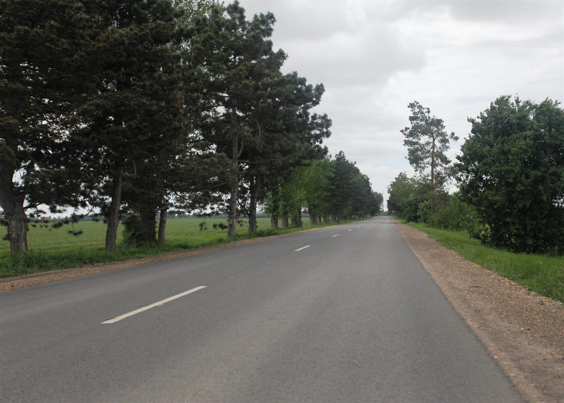 Фото №5: Земельный участок 6 сот. - Октябрьский, Прикубанский внутригородской округ, ст Краснодарсельмаш, ул. Виноградная, 5