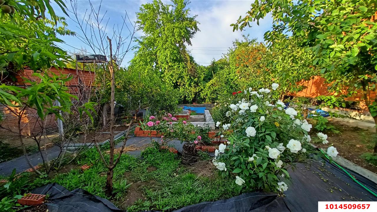 Фото №25: Дом 100 м² + 4 сот. - Елизаветинская, Кавказ, ул. Персиковая