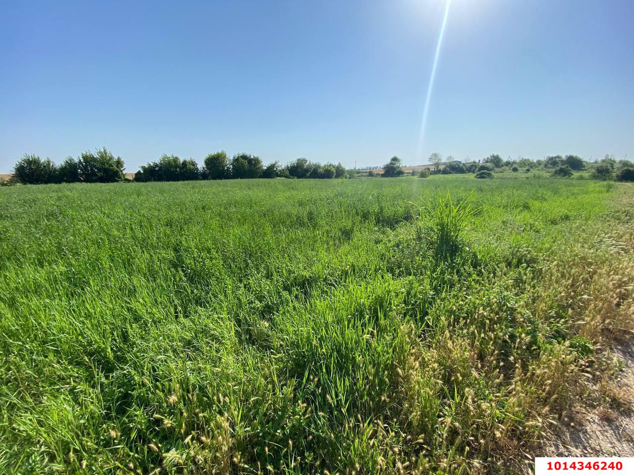 Фото №1: Земельный участок под ИЖС 16.39 сот. - Дядьковская, ул. Зелёно-Луговая, 6