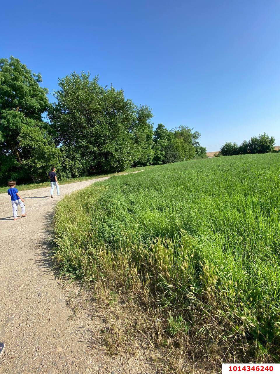 Фото №5: Земельный участок под ИЖС 16.39 сот. - Дядьковская, ул. Зелёно-Луговая, 6