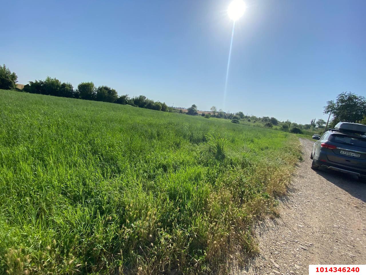 Фото №4: Земельный участок под ИЖС 16.39 сот. - Дядьковская, ул. Зелёно-Луговая, 6