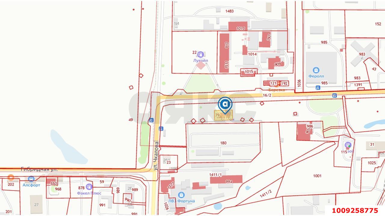Фото №2: Готовый бизнес 720 м² - Тимашевск, Гибридный, ул. Гибридная, 27