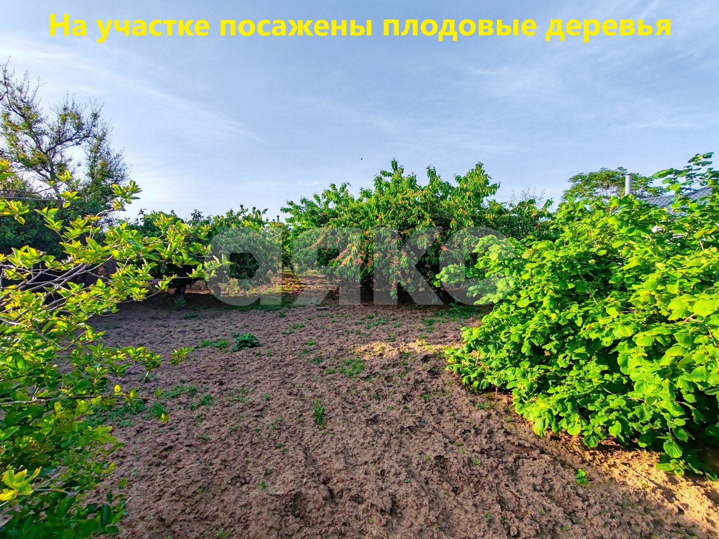 Фото №5: Земельный участок под ИЖС 8.97 сот. - Солёный, 